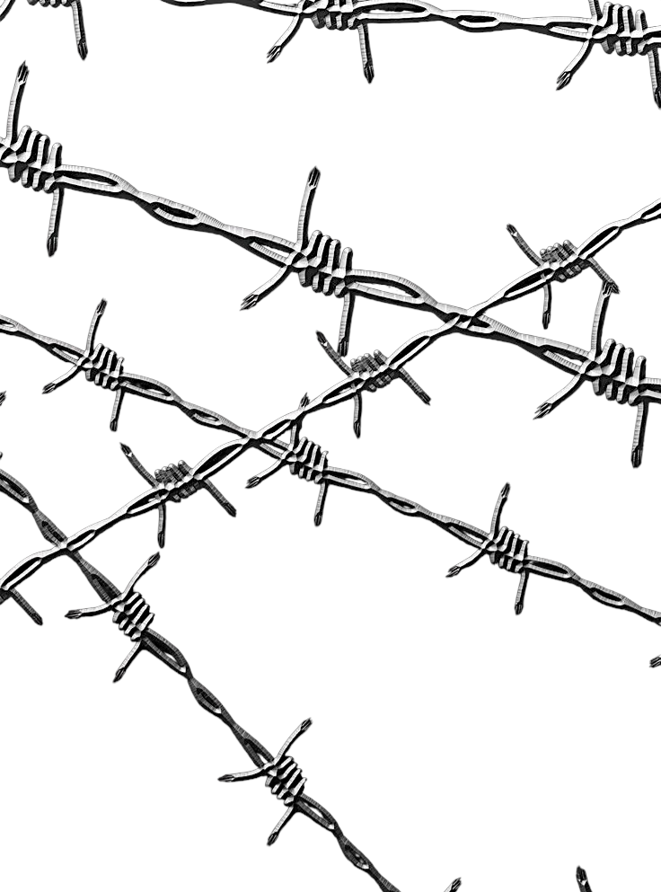 Steel Barbs⛓️