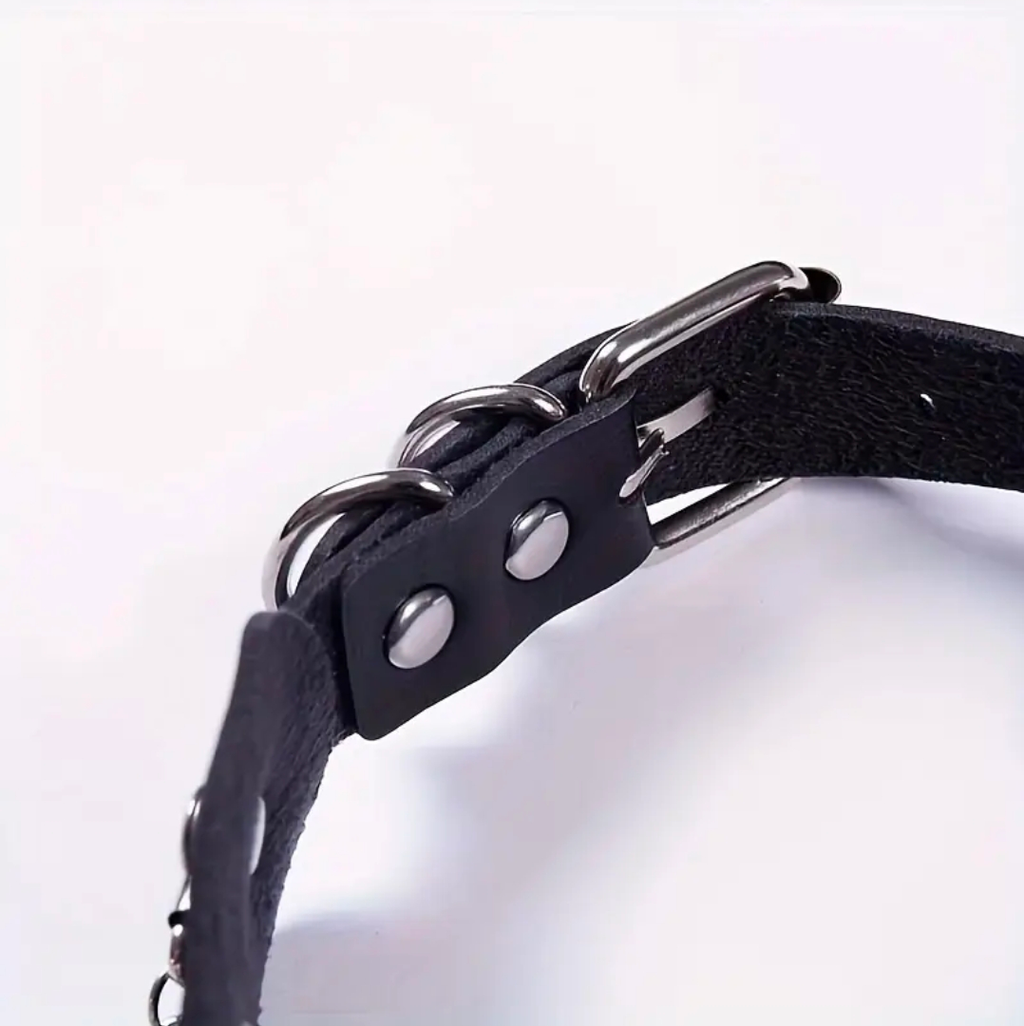 Rouge Links Punk Style Leather Choker