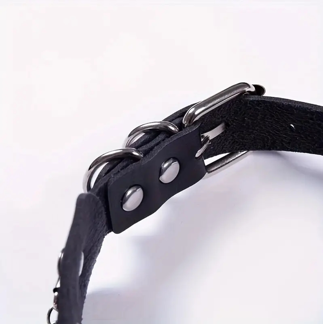 Rouge Links Punk Style Leather Choker